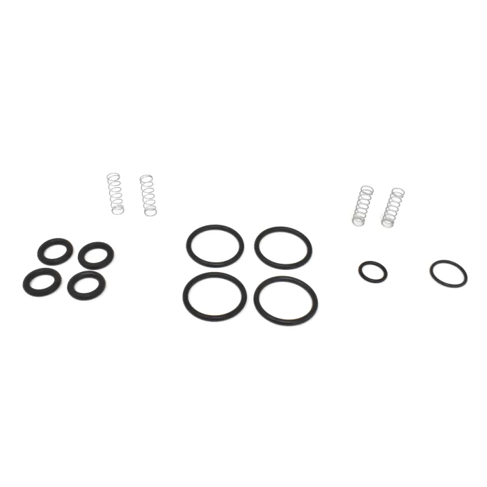 Check Valve Repair Kit