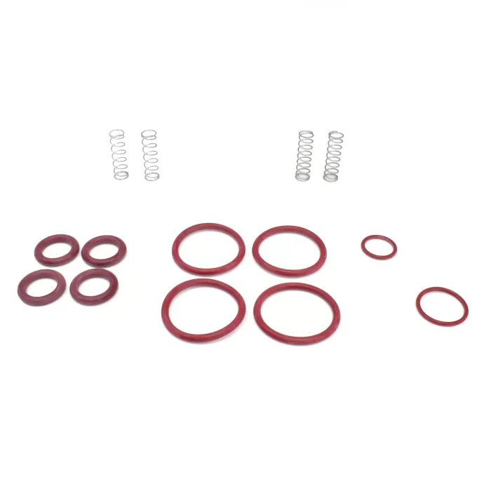 Check Valve Repair Kit - Image 3