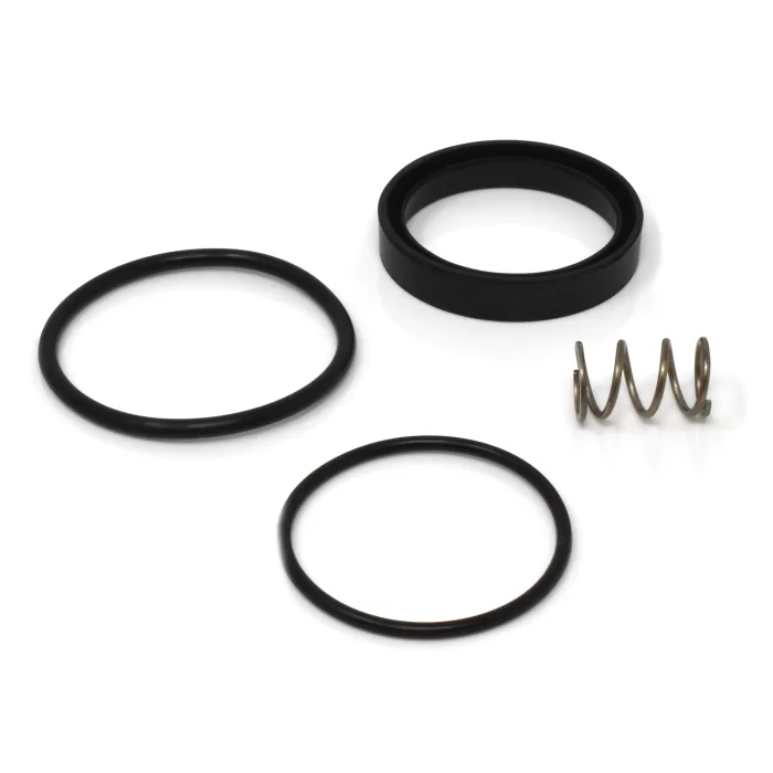 2" Seal Kit for GTP-917 series