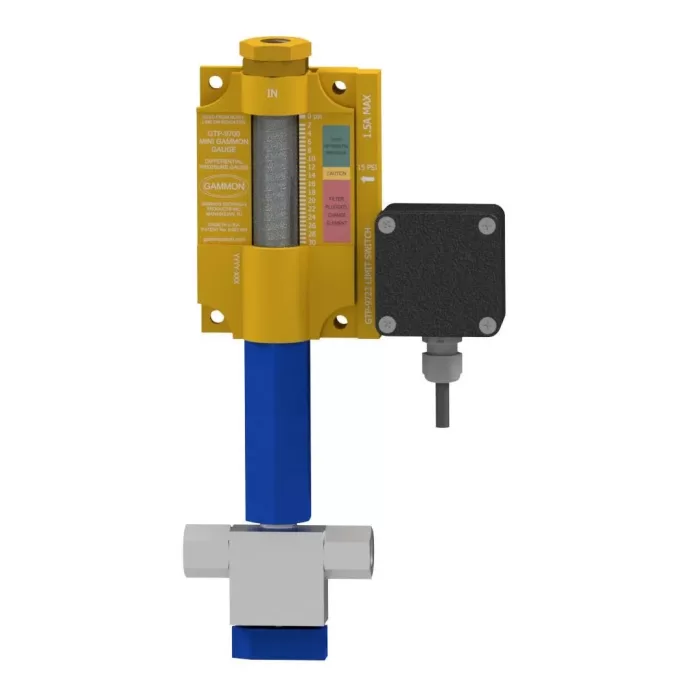 Mini Gammon Gauge Control Systems
